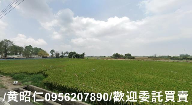 台南六甲農地-3