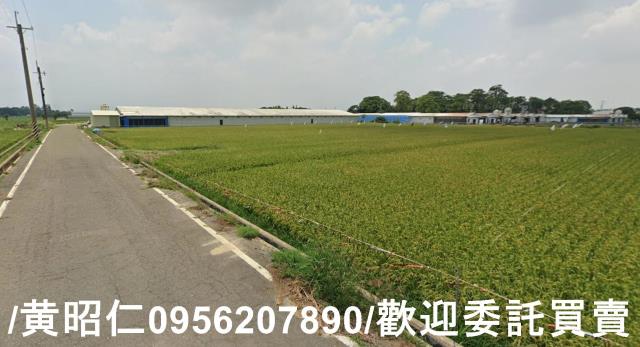 台南六甲農地-8