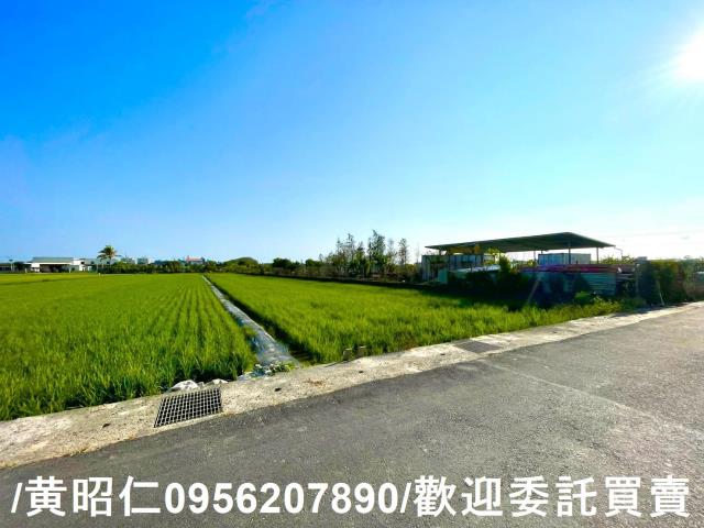 歸仁農地-9