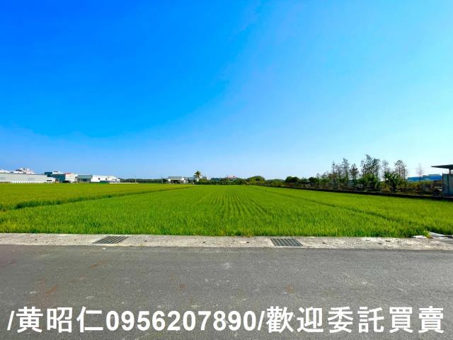 歸仁農地-14