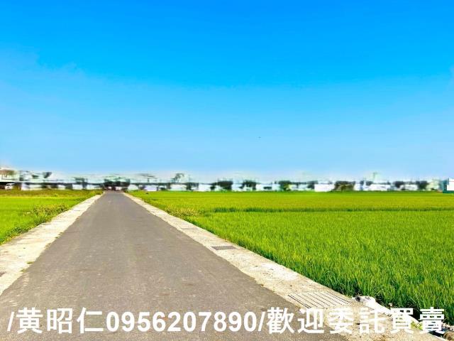 歸仁農地-1