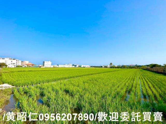 歸仁農地-5