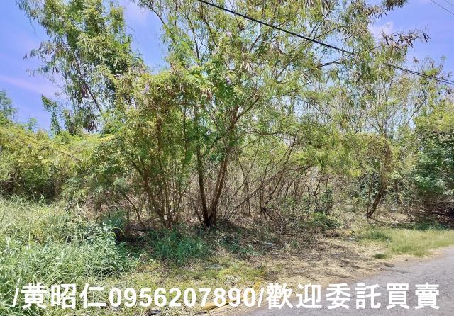 台南安南農地-1