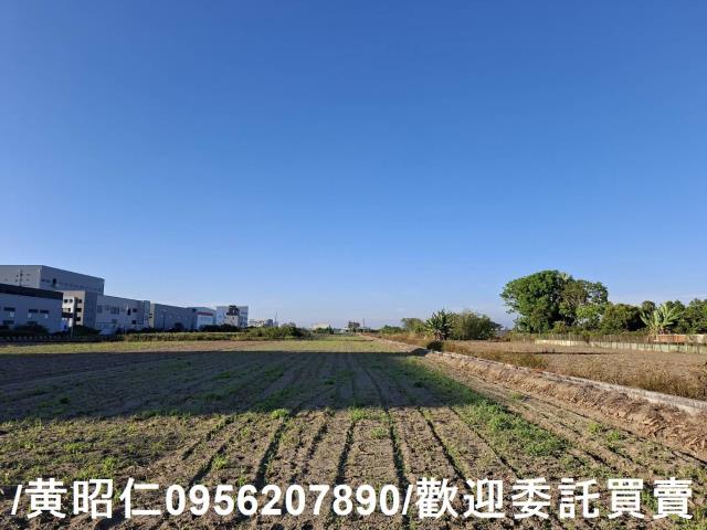 安定農地-2