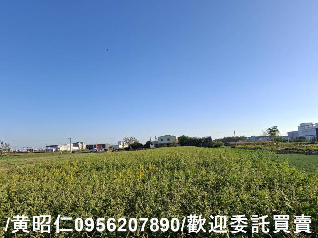 安定農地-4