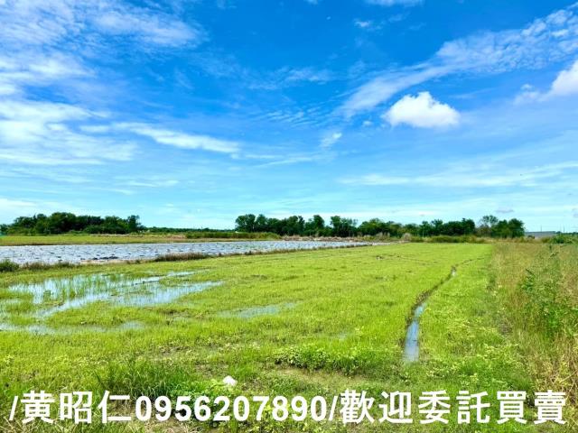 鹽水農地-0