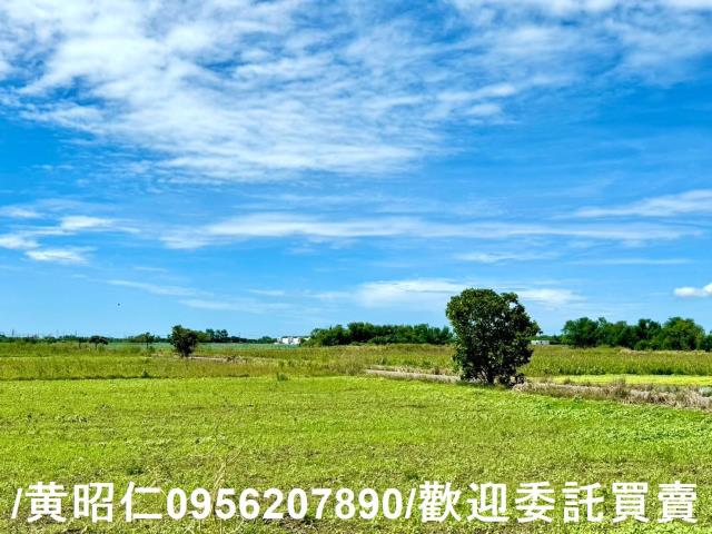 鹽水農地-2