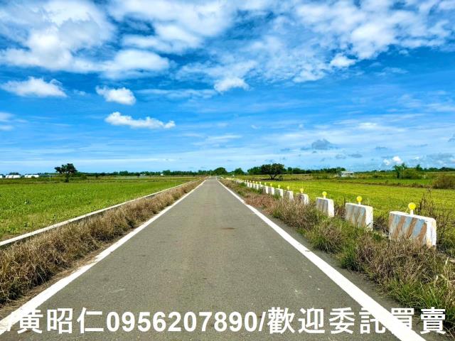 鹽水農地-5