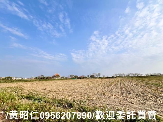 新營農地-2