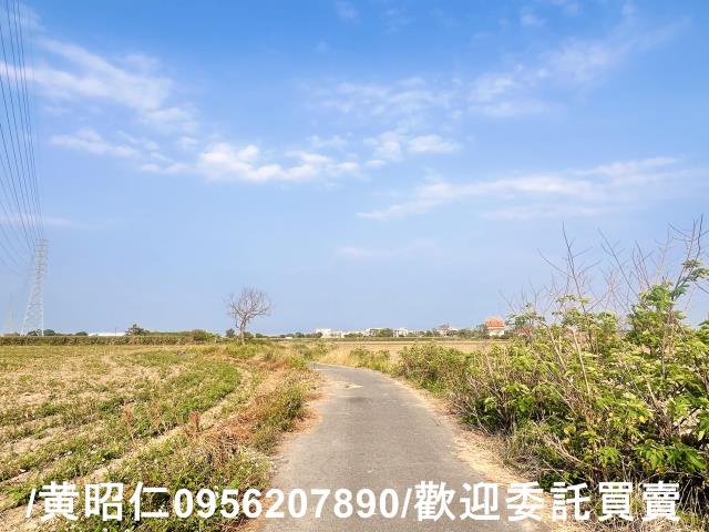新營農地-5