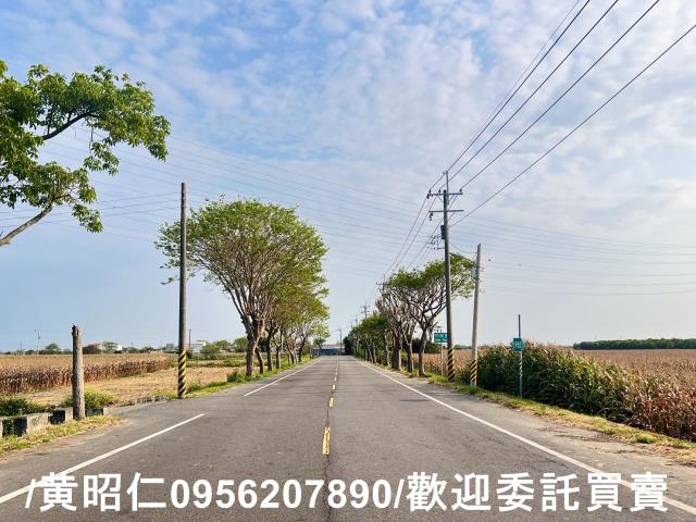 新營農地-6