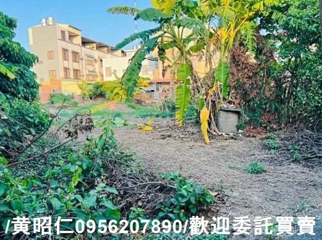 新化建地-8