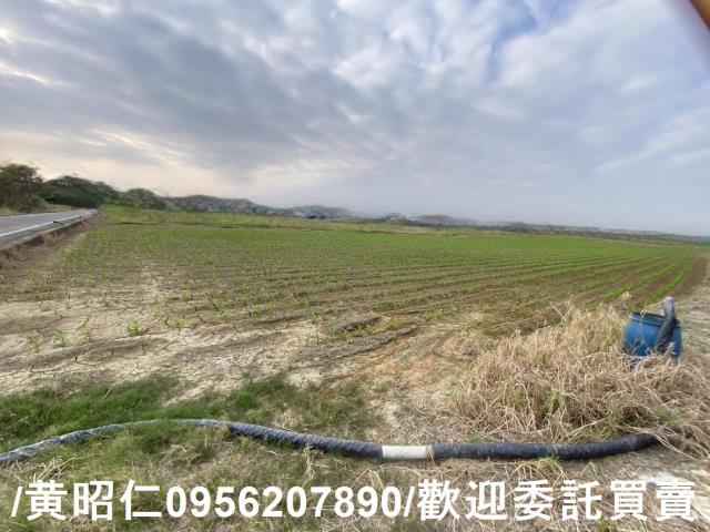 新市農地-1