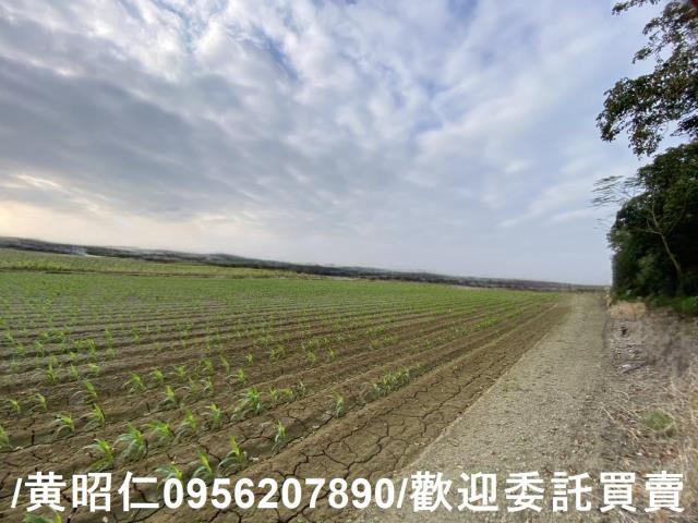 新市農地-2
