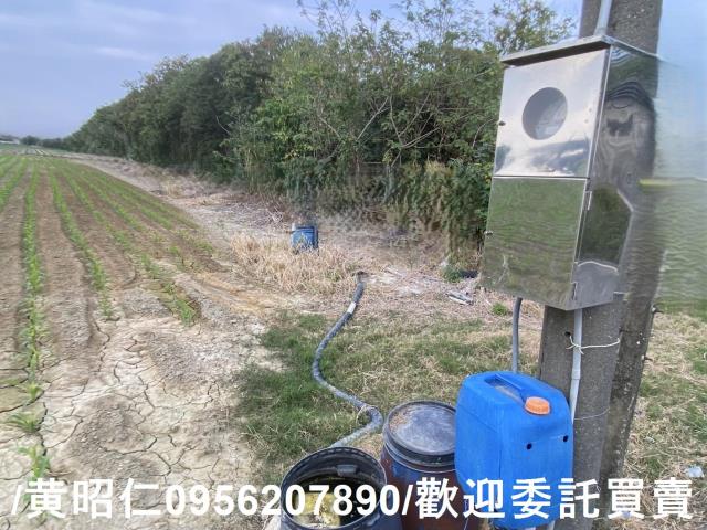 新市農地-4