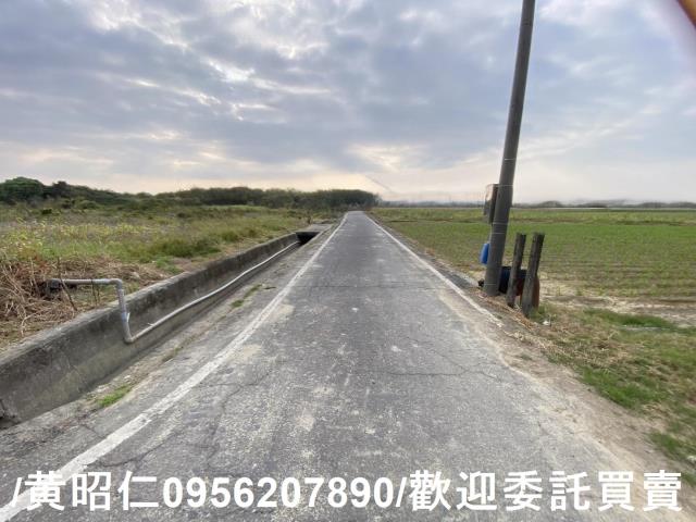 新市農地-6