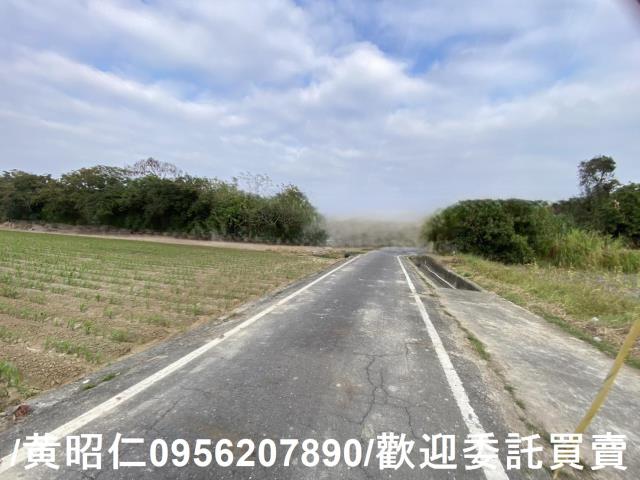 新市農地-7