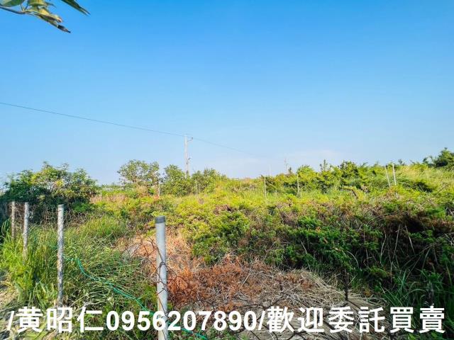 佳里農地-11