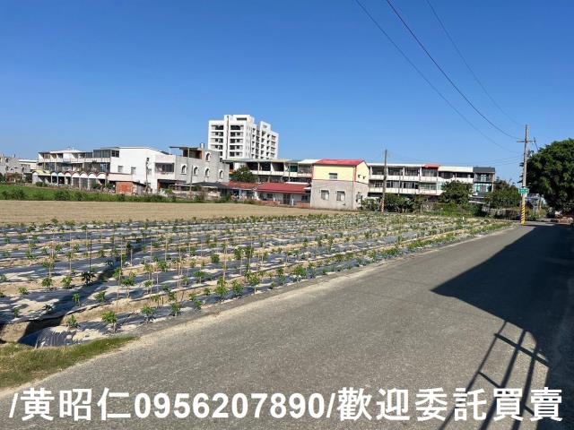 佳里農地-2