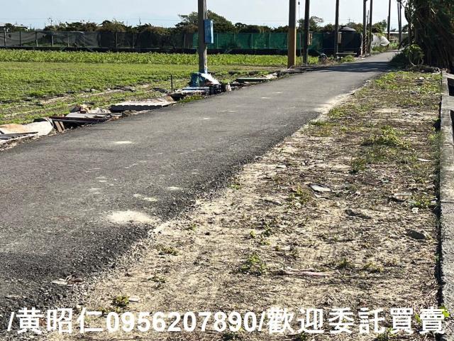 佳里農地-5