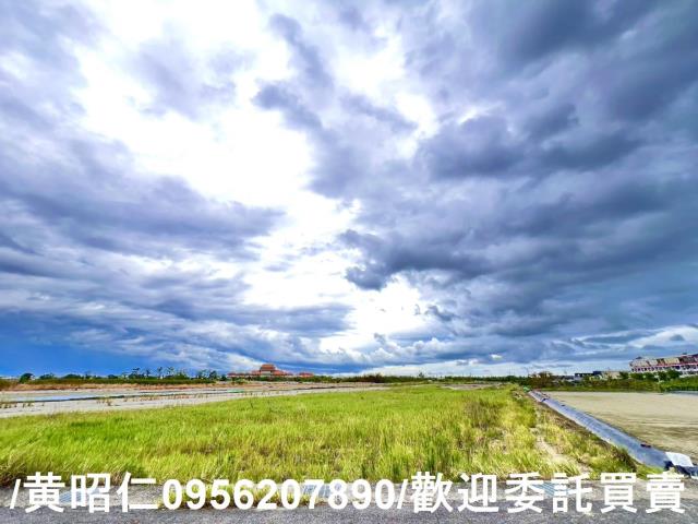 安南農地-2