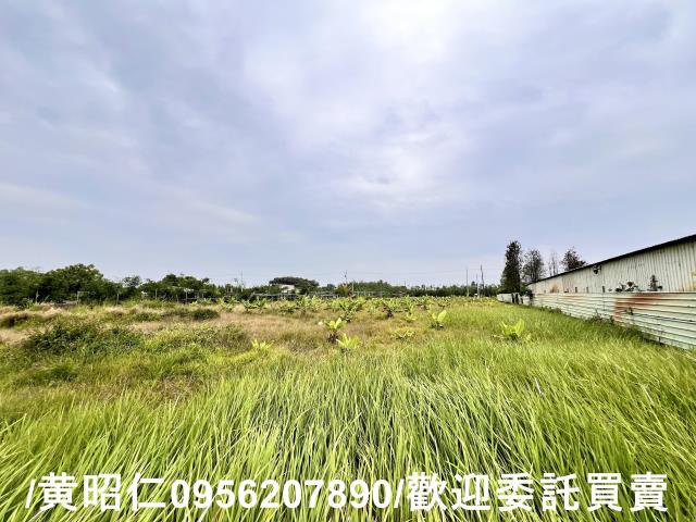 台南關廟農地-6