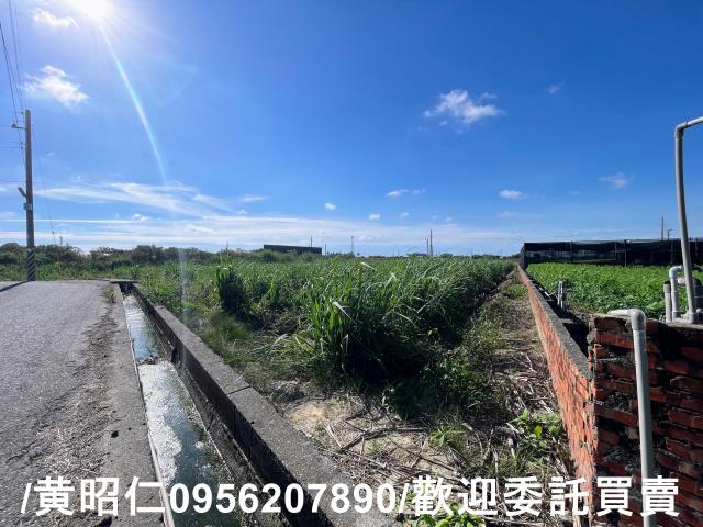 台南西港農地-1