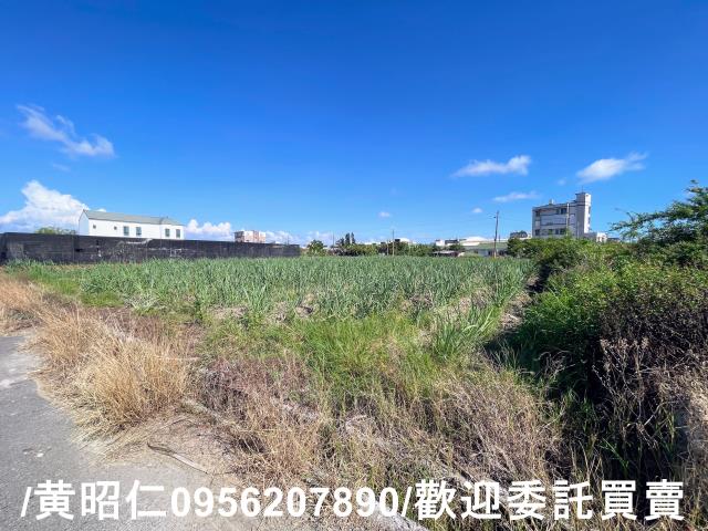 台南西港農地-2