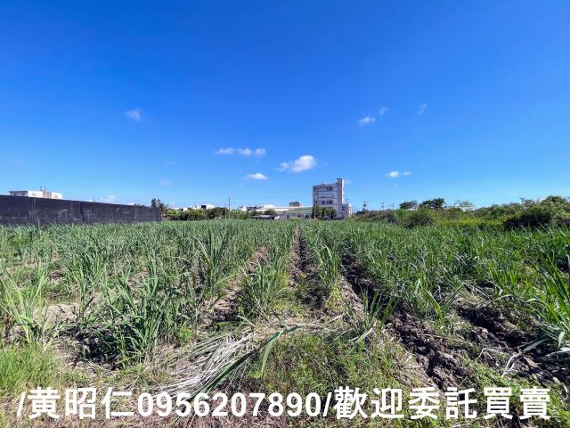 台南西港農地-5
