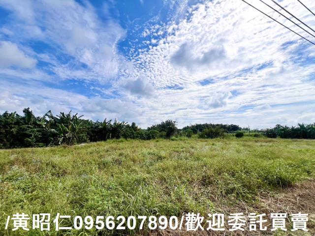 左鎮農地-2