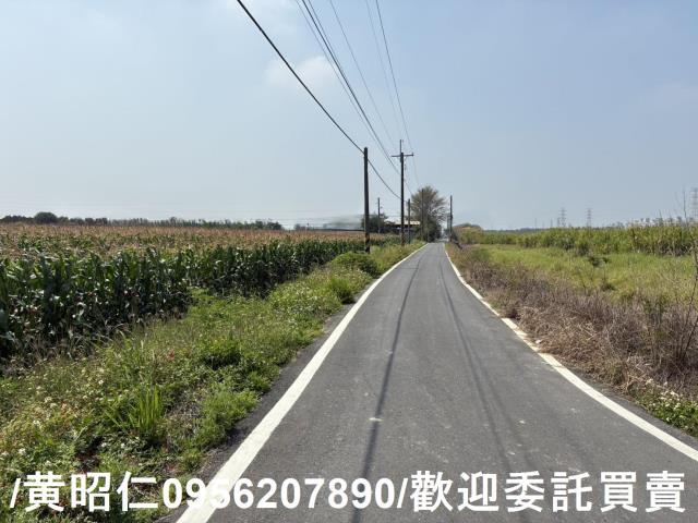 新市農地-2
