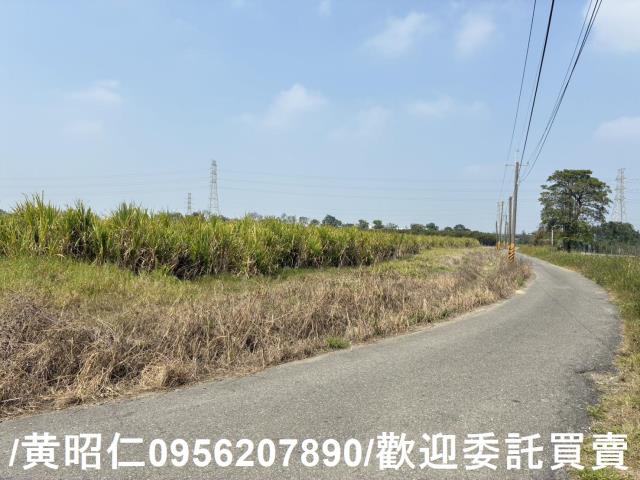 新市農地-7