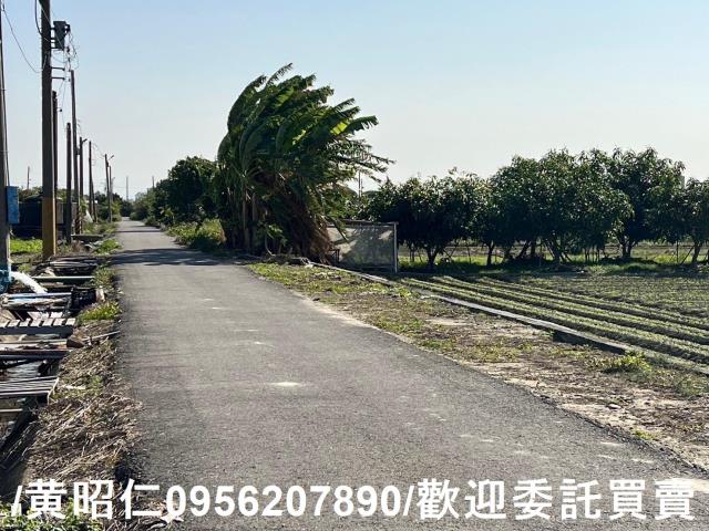 佳里農地-9