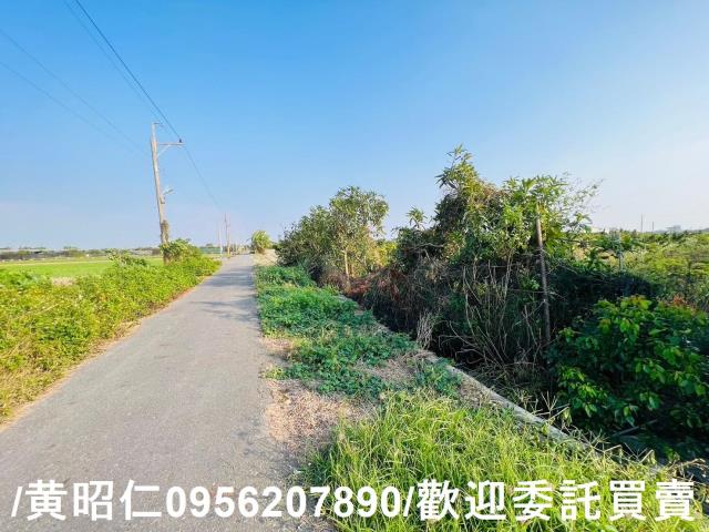 佳里農地-0