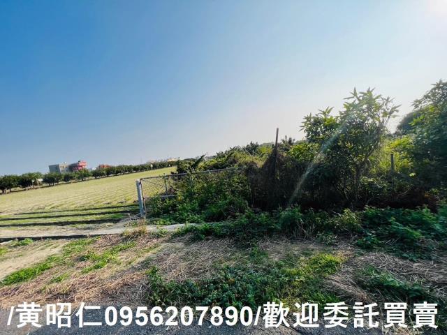 佳里農地-1