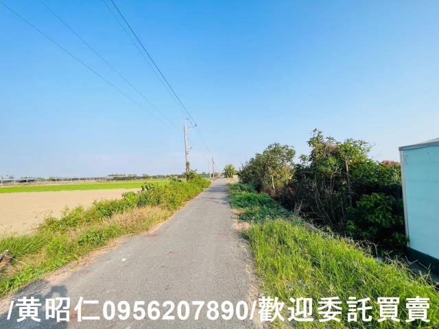 佳里農地-3