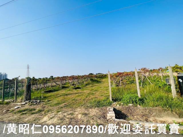 佳里農地-5