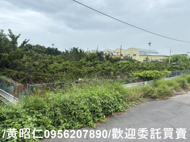 佳里農地-2