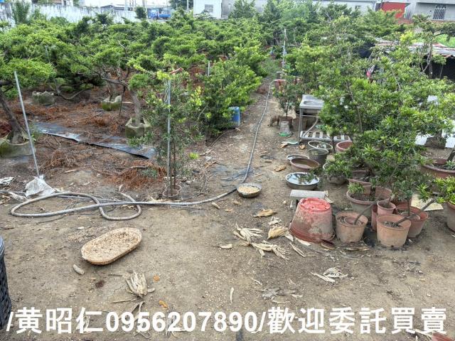 佳里農地-5