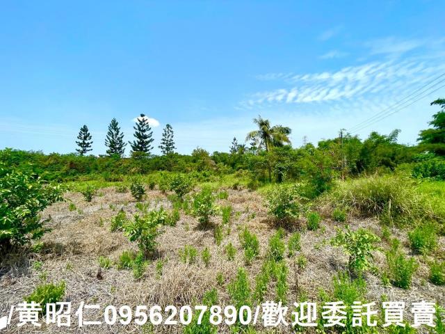 新化農地-3