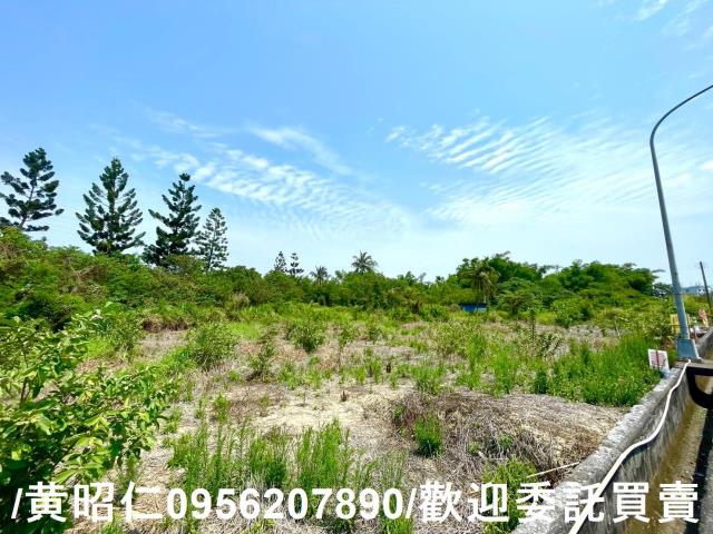 新化農地-5