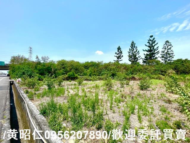 新化農地-6