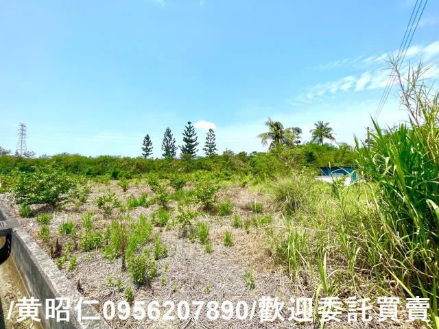 新化農地-7