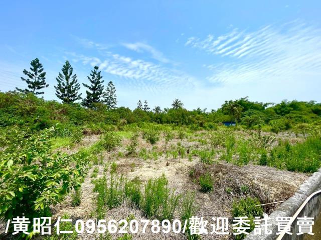 新化農地-8