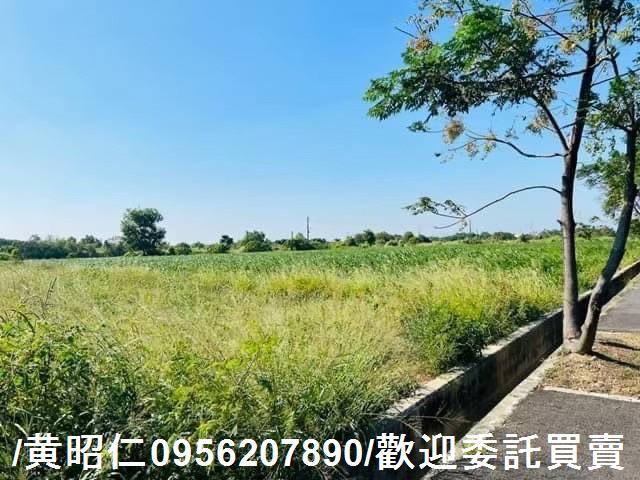 新化農地-10