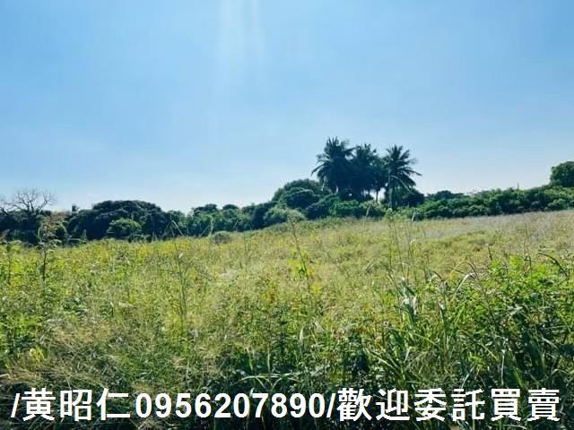 新化農地-11