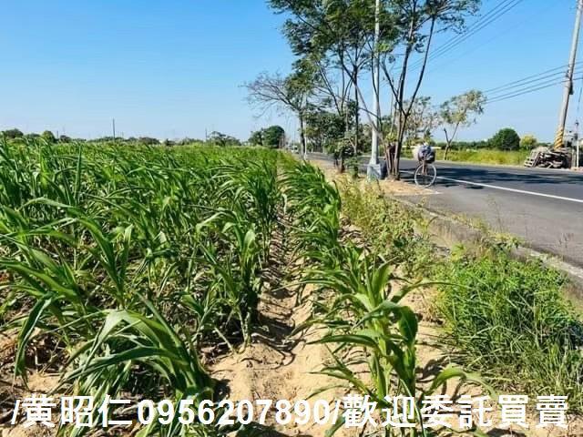 新化農地-6