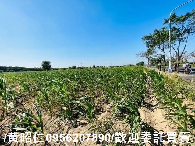 新化農地-7