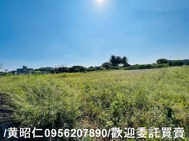 新化農地-8