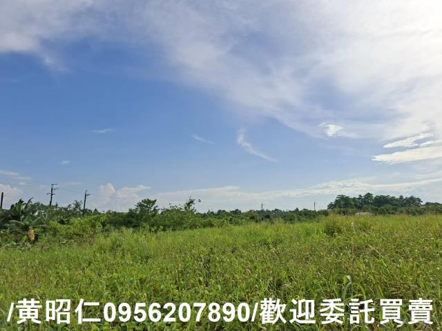 台南關廟農地-1